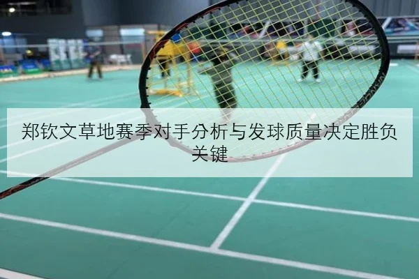 维斯塔潘匈牙利站排位策略微调红牛轮胎管理面临严峻考验